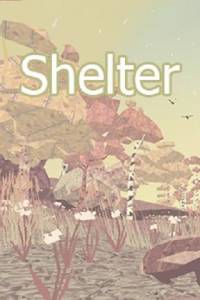 Shelter